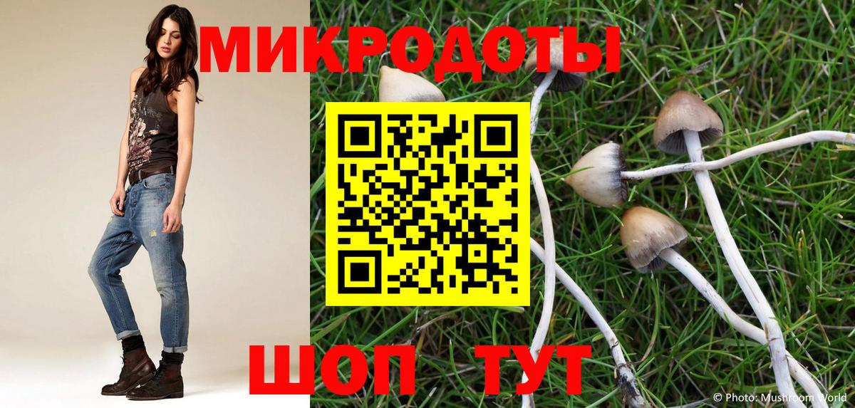 Псилоцибиновые грибы Magic Shrooms Тимашёвск